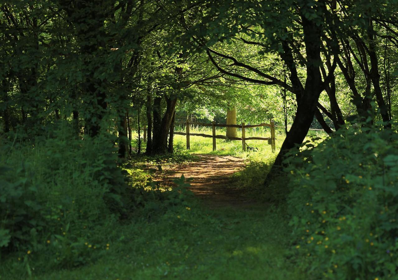 Domaine De Fresnoy Bed & Breakfast Loison-sur-Crequoise Bagian luar foto