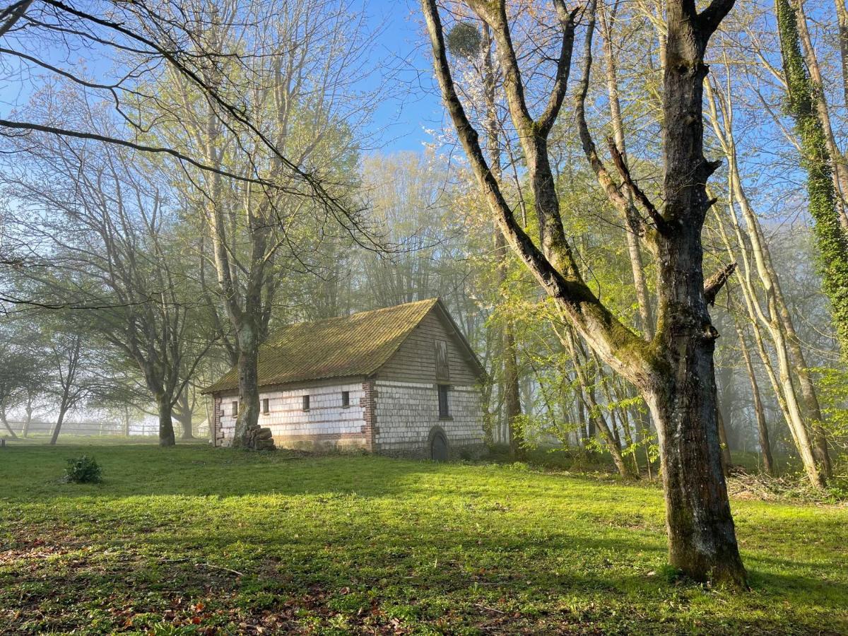 Domaine De Fresnoy Bed & Breakfast Loison-sur-Crequoise Bagian luar foto