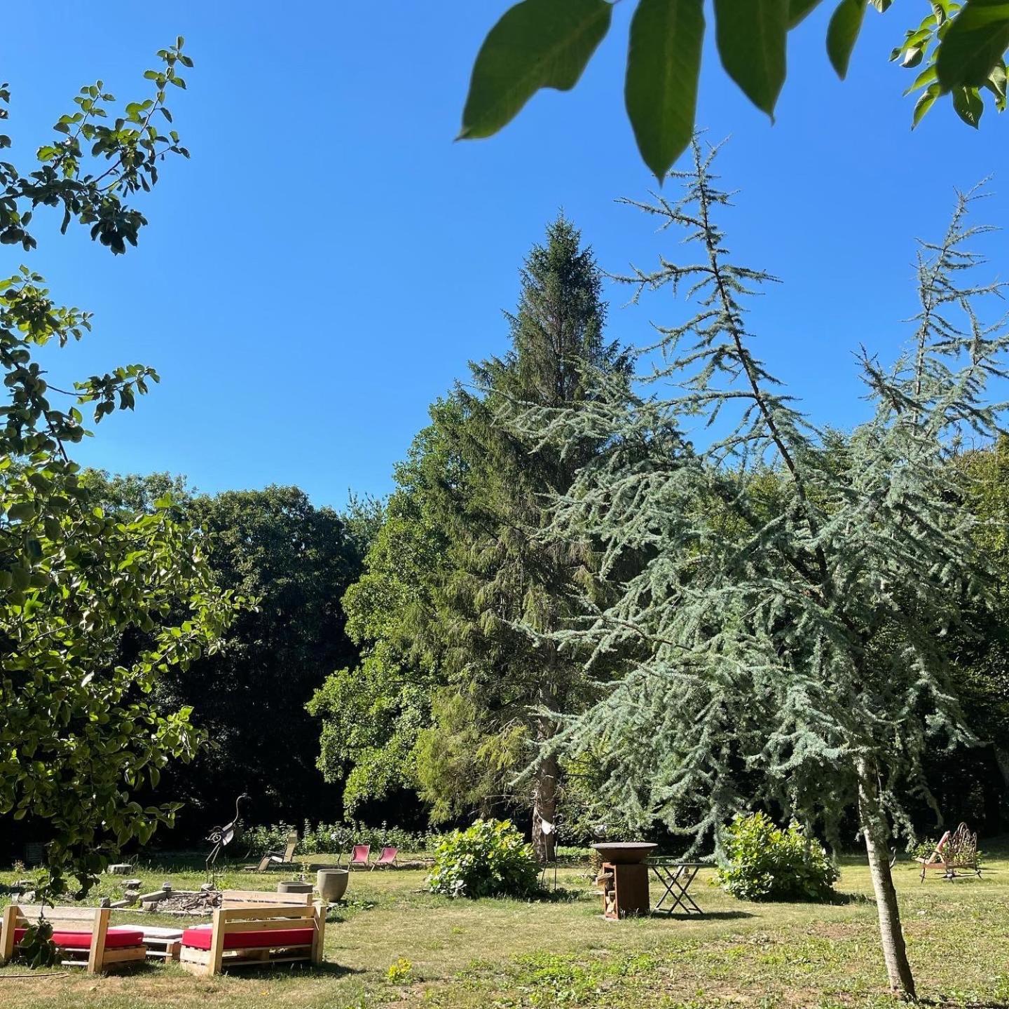 Domaine De Fresnoy Bed & Breakfast Loison-sur-Crequoise Bagian luar foto