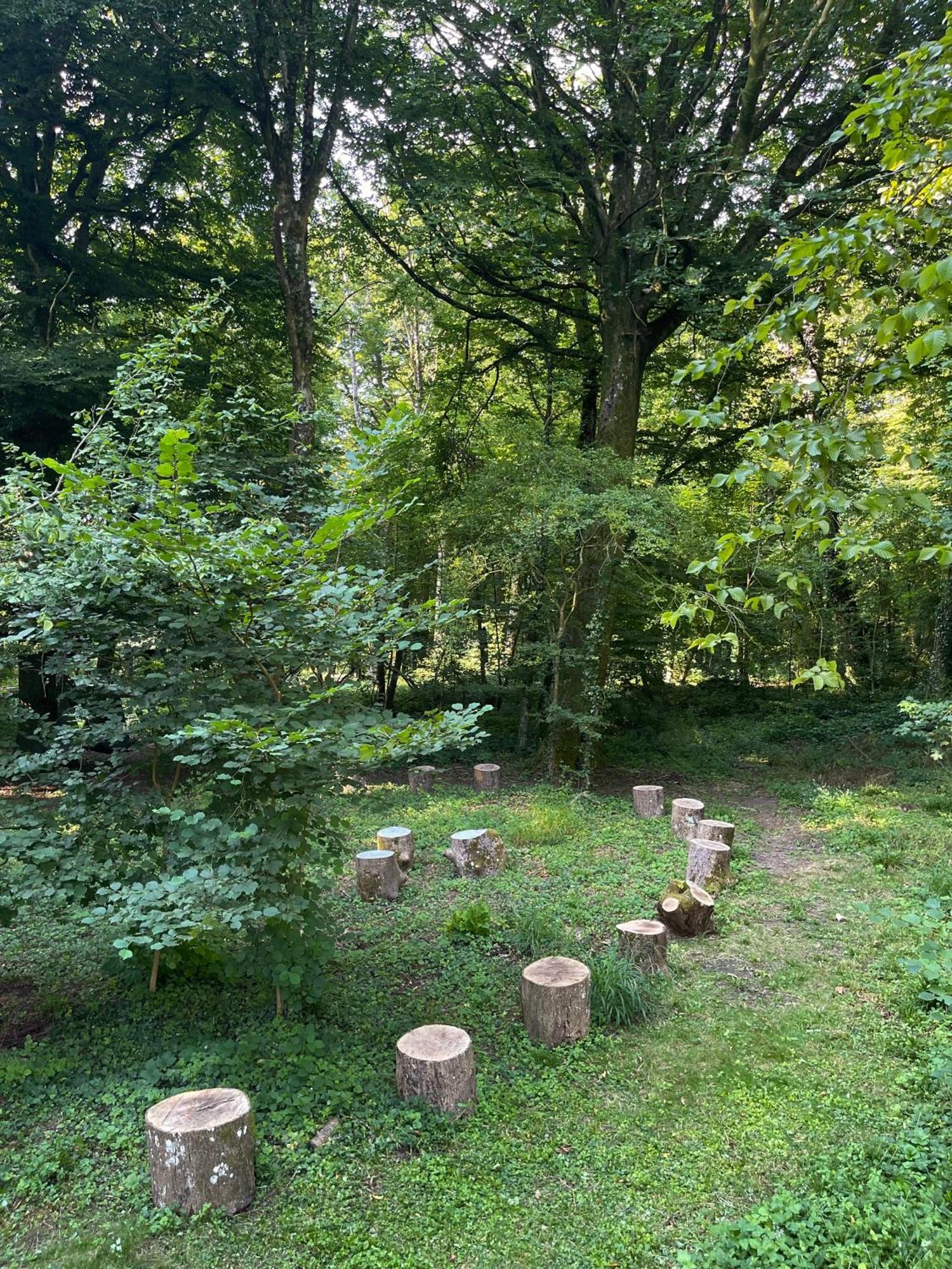 Domaine De Fresnoy Bed & Breakfast Loison-sur-Crequoise Bagian luar foto